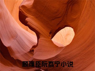 顾瑾臣阮荔宁全文免费阅读无弹窗大结局-顾瑾臣阮荔宁全文在线阅读