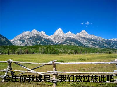 云子蔺齐烟（今生你我缘尽，我们放过彼此吧）全文无弹窗阅读-精彩小说今生你我缘尽，我们放过彼此吧（云子蔺齐烟）