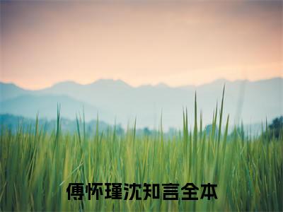 傅怀瑾沈知言（傅怀瑾沈知言）全文免费阅读无弹窗大结局_傅怀瑾沈知言全文免费阅读_笔趣阁