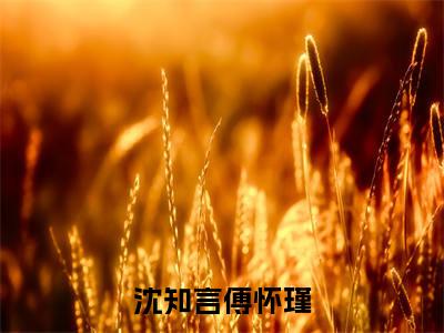 沈知言傅怀瑾(沈知言傅怀瑾)最新章节在线阅读-沈知言傅怀瑾已完结全集大结局小说