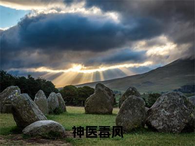 沈墨染萧夜白小说神医毒凤全文免费阅读无弹窗-正版小说沈墨染萧夜白全文阅读