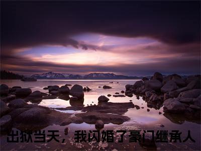秦晏苏凝出狱当天，我闪婚了豪门继承人全文免费完整版,秦晏苏凝最新章节完整版阅读