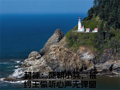 封神：商朝小兵，被纣王偷听心声（林天）小说全文免费阅读正版无弹窗_（林天）最新章节列表笔趣阁