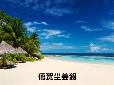 傅贺尘姜澜小说全文（傅贺尘姜澜）完整版阅读-傅贺尘姜澜小说全文无删减版