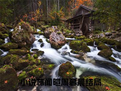 林闻暄周暮晨（林闻暄周暮晨）小说-林闻暄周暮晨小说免费最新章节列表