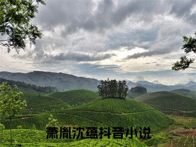 萧胤沈蕴无弹窗最新章节列表_笔趣阁