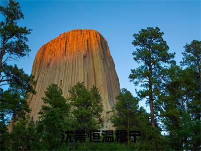 沈景恒温穆宁小说免费 沈景恒温穆宁第3章在线阅读