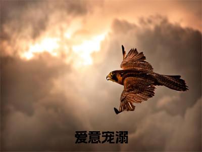 爱意宠溺全文免费阅读_（宁云楠祁余屿免费阅读无弹窗）爱意宠溺最新章节列表笔趣阁