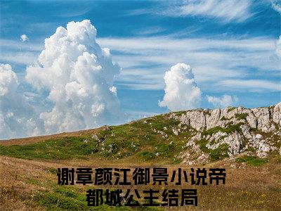 帝都城公主（谢章颜江御景）全文在线阅读无弹窗大结局_帝都城公主精选免费小说大结局阅读_谢章颜江御景