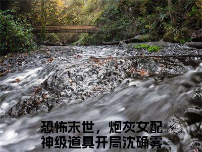沈确雾月小说恐怖末世，炮灰女配神级道具开局全文免费阅读无弹窗-正版小说沈确雾月全文阅读