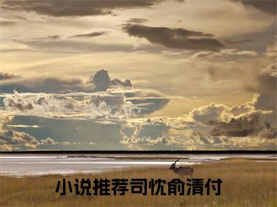 司忱俞清付新上热文小说 司忱俞清付在线观看完整版