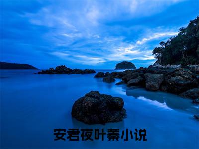 安君夜叶蓁小说全文在线赏析 安君夜叶蓁小说免费阅读全文大结局