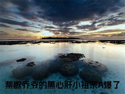 黎清清乔时野完结版小说禁欲乔爷的黑心肝小祖宗A爆了全文在线免费阅读_禁欲乔爷的黑心肝小祖宗A爆了最新章节列表_笔趣阁