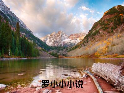 罗小小（职业技师）全文免费阅读无弹窗_罗小小（职业技师小说完整版）最新章节列表