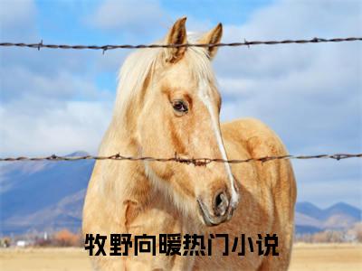 牧野向暖小说（牧野向暖）全文免费阅读无弹窗大结局_牧野向暖（牧野向暖）最新章节列表-笔趣阁（牧野向暖）