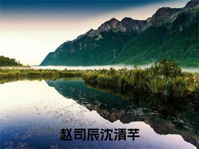 赵司辰沈清芊小说(赵司辰沈清芊)全文免费阅读无弹窗_(赵司辰沈清芊小说全文免费阅读)赵司辰沈清芊最新章节列表笔趣阁（赵司辰沈清芊）