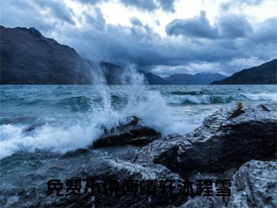 傅靖轩沐程雪小说（傅靖轩沐程雪）完整版全文在线赏析-小说全文大结局已完结