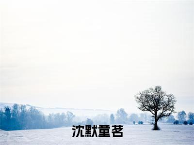 沈默童茗的小说免费阅读（沈默童茗小说免费阅读）全文免费阅读大结局-沈默童茗热门榜单好书推荐