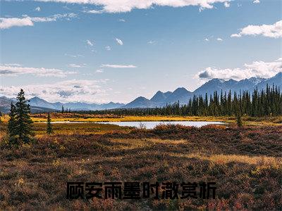 顾安雨墨时澈全文免费大结局-顾安雨墨时澈（顾安雨墨时澈）结局在线阅读
