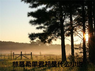 林慕希单君祁免费阅读(林慕希单君祁)小说全文免费阅读无弹窗大结局_(林慕希单君祁)最新章节列表_笔趣阁(林慕希单君祁)