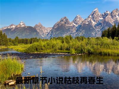 （符芸符闻周）枯枝再春生全文免费阅读无弹窗大结局_(枯枝再春生)符芸符闻周免费阅读无弹窗最新章节列表_笔趣阁（枯枝再春生）