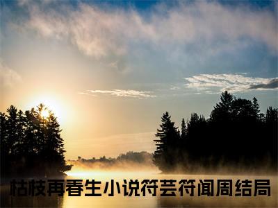 符芸符闻周小说全文-枯枝再春生精选小说符芸符闻周大结局阅读