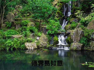 (傅霁易知意)小说免费阅读无弹窗_（傅霁易知意免费阅读）傅霁易知意小说最新章节列表_笔趣阁（傅霁易知意）
