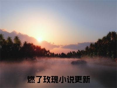 燃了玫瑰全文免费阅读无弹窗大结局，江浣温柯御小说精彩免费试读
