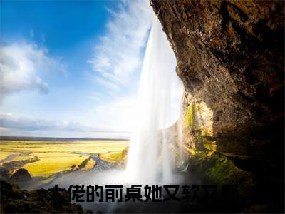 大佬的前桌她又软又野（池西野易棉）全文免费阅读无弹窗大结局_大佬的前桌她又软又野最新章节列表_笔趣阁(池西野易棉）