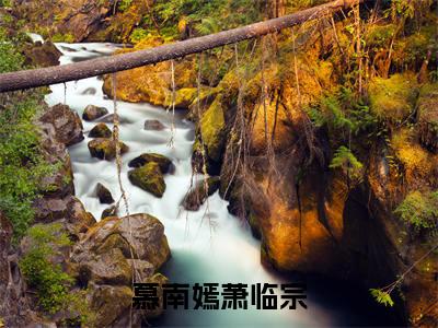 慕南嫣萧临宗精彩小说（慕南嫣萧临宗）在哪免费看-小说(慕南嫣萧临宗)全文完整版免费阅读