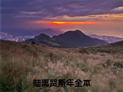 陆离贺斯年（陆离贺斯年）全文无弹窗阅读-陆离贺斯年最新章节完整版阅读