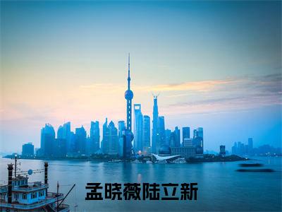 孟晓薇陆立新（孟晓薇陆立新）全集免费阅读无弹窗_(孟晓薇陆立新小说免费阅读)_笔趣阁