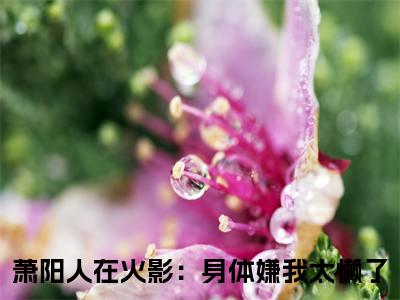 萧阳（人在火影：身体嫌我太懒了）全文免费阅读无弹窗大结局_萧阳最新章节列表_笔趣阁（人在火影：身体嫌我太懒了）