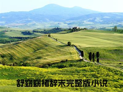 舒窈窈褚辞末无广告小说（舒窈窈褚辞末）全文免费阅读无弹窗大结局-舒窈窈褚辞末在线阅读