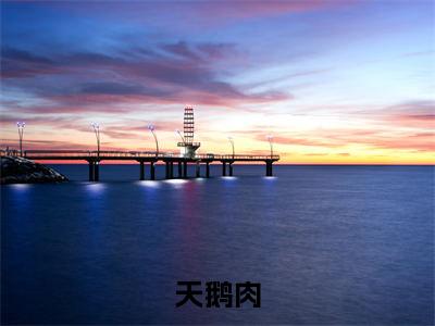 沈幼恩蒋序全文（天鹅肉）全文免费阅读无弹窗大结局_天鹅肉全文最新章节列表_笔趣阁（沈幼恩蒋序）