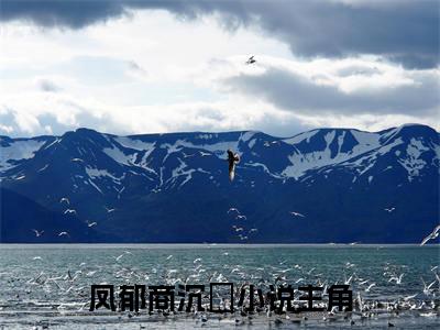 凤郁商沉婳免费阅读，主角为凤郁商沉婳的言情小说