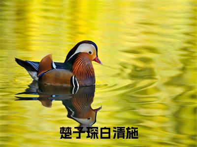 （终于可以不再爱你）全文免费阅读无弹窗大结局_（楚子琛白清施全文免费）终于可以不再爱你小说最新章节列表_笔趣阁（楚子琛白清施）