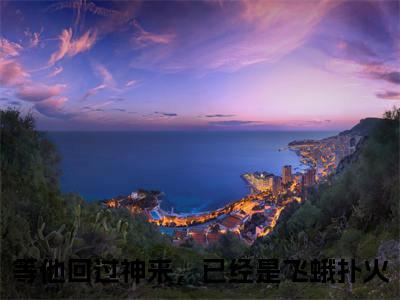 等他回过神来，已经是飞蛾扑火（苏未厉绍呈）全文免费阅读无弹窗大结局_等他回过神来，已经是飞蛾扑火免费阅读最新章节列表_笔趣阁