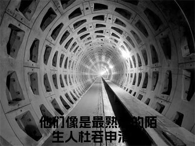 杜若申清逸（他们像是最熟悉的陌生人）小说全文免费阅读无弹窗大结局_杜若申清逸（他们像是最熟悉的陌生人）最新章节列表（他们像是最熟悉的陌生人）