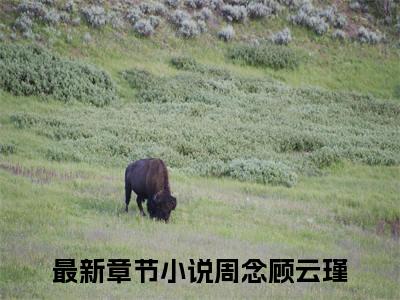 （周念顾云瑾）逃荒有空间！糙汉物资随手捡小说推荐阅读-主角为逃荒有空间！糙汉物资随手捡的小说叫什么周念顾云瑾