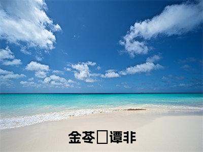 金苓玥谭非（金苓玥谭非）全文免费阅读大结局-金苓玥谭非完整版无弹窗