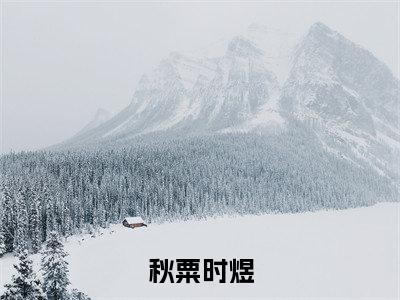 秋粟时煜（秋粟时煜）全文免费阅读无弹窗大结局_秋粟时煜最新章节列表
