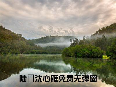 (抖音小说)陆璟沈心雁免费阅读陆璟沈心雁在线阅读大结局