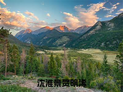 沈淮景贺明浠（沈淮景贺明浠）全文免费阅读无弹窗大结局_（沈淮景贺明浠无弹窗）最新章节免费阅读_笔趣阁