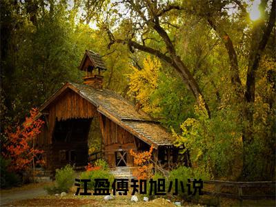 江盈傅知旭最新更新热门榜单小说（江盈傅知旭全集小说完整版笔趣阁）江盈傅知旭全文阅读