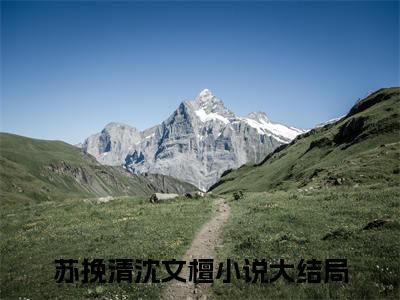 苏挽清沈文檀（苏挽清沈文檀）热门小说盘点在线阅读-苏挽清沈文檀小说无弹窗