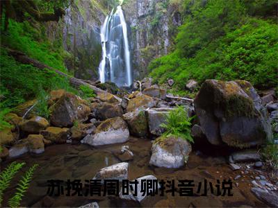 苏挽清周时卿（苏挽清周时卿）小说完整版阅读-小说苏挽清周时卿全文免费阅读