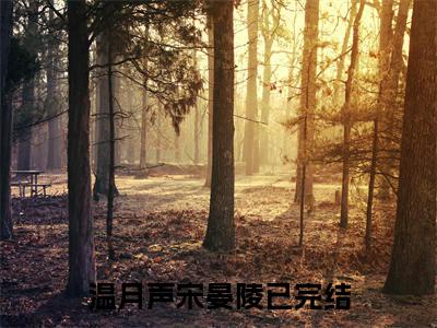 温月声宋晏陵（温月声宋晏陵）全文免费阅读无弹窗_温月声宋晏陵最新小说_笔趣阁（温月声宋晏陵）
