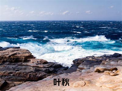 网游：掠夺天下(叶秋)小说精彩免费内容_网游：掠夺天下叶秋最新章节全文阅读（叶秋）