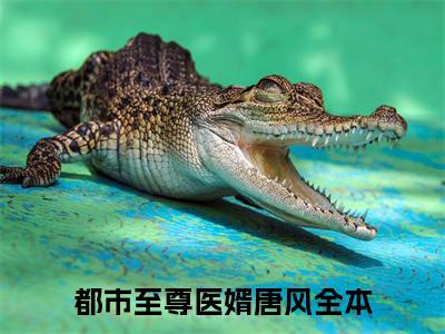 都市至尊医婿唐风小说在哪里可以看-快手热推都市至尊医婿唐风(都市至尊医婿唐风)小说全章节最新阅读